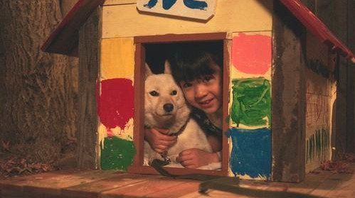 eki made sayaka inu.jpg eki made sayaka inu.jpg